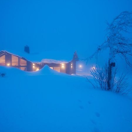 Вілла Beerenhaus Altenberg Екстер'єр фото