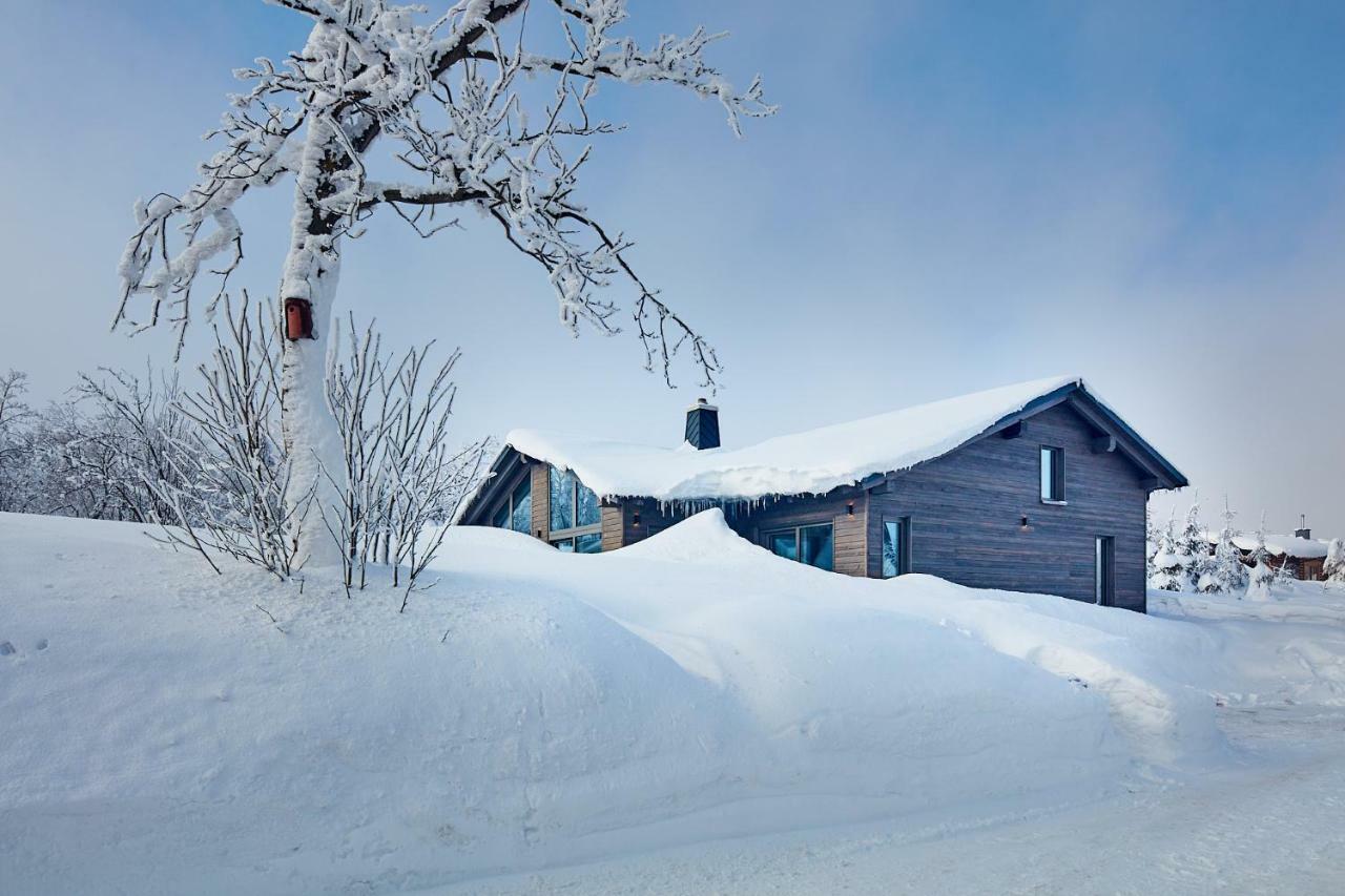 Вілла Beerenhaus Altenberg Екстер'єр фото